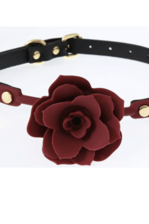 VSC Novelty - Ball Gag in Silicone con Rosa