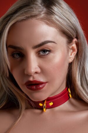 Collare con anello a D Deluxe rosso