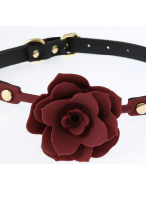 VSC Novelty - Ball Gag in Silicone con Rosa