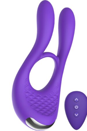 Joy Ride To Paradise viola