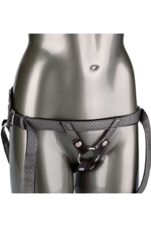 La principessa regale grigia