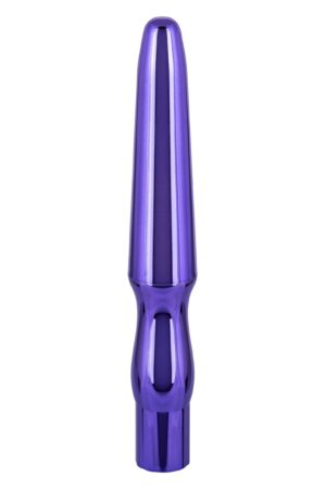 Sonda anale ricaricabile viola