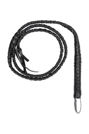 Frusta attorcigliata